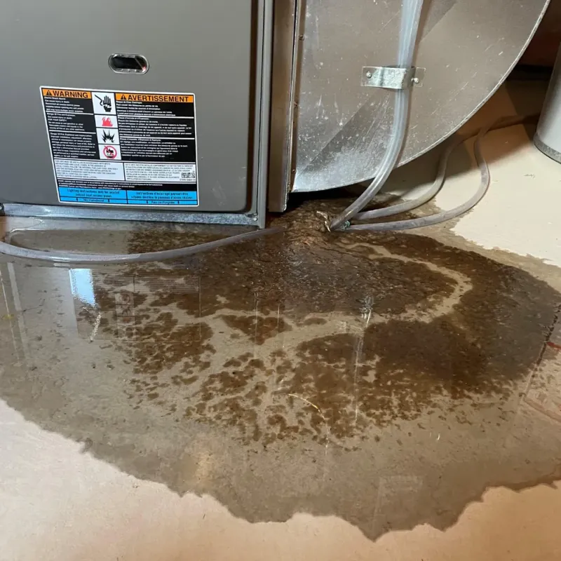 Appliance Leak Cleanup in Alamosa East, CO