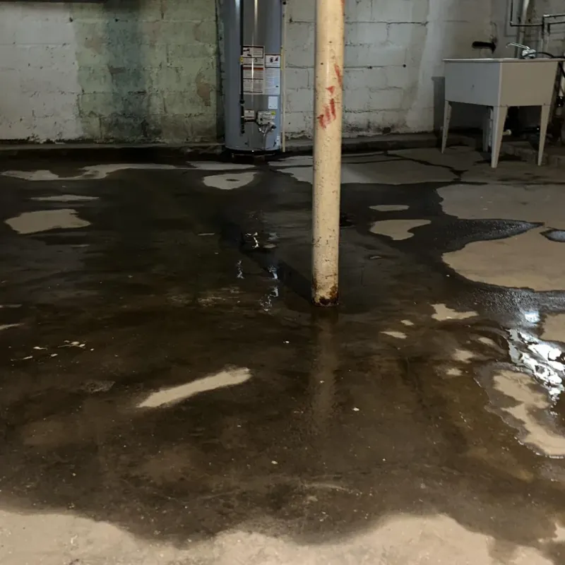 Emergency Water Extraction And Removal in Alamosa East, CO